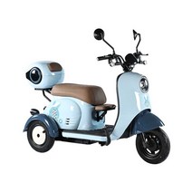 전기 삼토바이 삼륜 세발 오토바이 가정용 미니 48v, (48V) 600W 모터 + 13A배터리