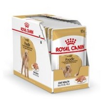로얄캐닌 어덜트 푸들 강아지 사료 건식사료, 습식, 85g, 12개
