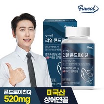 퍼니트 리얼 콘드로이친 90g, 90정, 1개