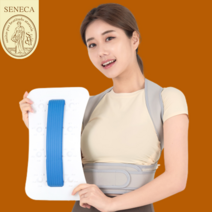 세네카 허리베개