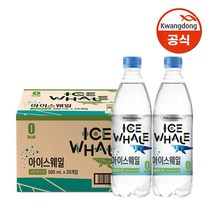 광동 아이스웨일 탄산음료 샤인머스캣, 500ml, 40개