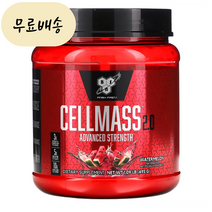 비에스엔 BSN 셀메스 파우더 495g 25회분 1세트 수박 맛 [미국 직배송], 1개