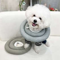 부잣집막내딸 강아지 고양이 안전 넥카라 2개세트, 그린+그레이