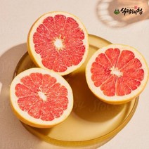 식탐대첩 프리미엄 레드자몽 대과 5개(개당370g내외), 단품