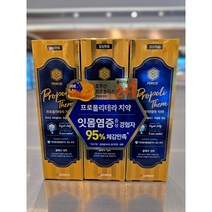 신세계 규격 LG 프로폴리테라 치약 100g* 2+1(클래식 민트)