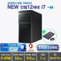 삼성 데스크탑 DM500 인텔 12세대 i7 + Win 10 / Win11 포함, 램32GB + SSD 512GB + HDD 1TB, Windows11 Pro, DM500TEZ i7 -M