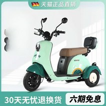 3륜전기스쿠터 전동 배터리 삼륜 출퇴근, M