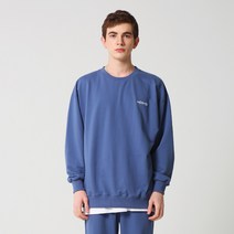 모즈모즈 M-4XL 컬러칩 미니쭈리 오버핏 맨투맨