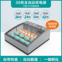 부화기 입문용 2021년 신상품 조류 자동 부화 병아리 계란부화기 36란 실험, 4. 계란 부화기 36란(더블 전기 자동)