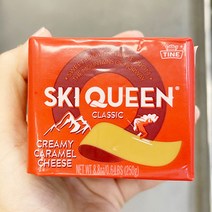 스키 퀸 브라운 치즈 CT1 250g, 아이스보냉백포장