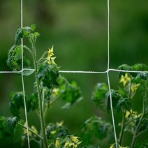 넝쿨 식물 그물 지지대 줄타기 네트망 토마토 오이 재배 격자 울타리 1P A