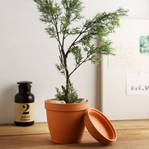월드가드닝 남유럽 황토 토분 BIO 화분+받침 set, 네추럴황토, 1개