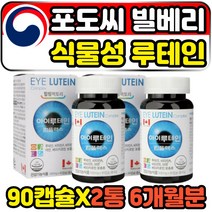 안토시아노사이드 포도씨 빌베리 식물성 천연 루테인 6개월분 캐나다산 해외직구 안토시아닌 영양제 ANTHOCYANIN BILBERRY 블루베리 눈건강식품 눈에좋은루테인 홈쇼핑