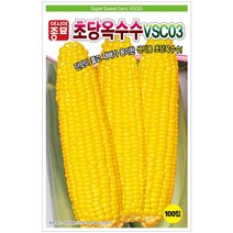 아시아종묘 초당옥수수 씨앗 100립
