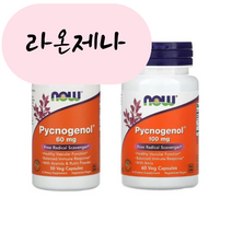 홈쇼핑 나우푸드 피크노제놀 100mg 60mg 고약사 약들약 나우푸땡 호팍사, 1개, 60정