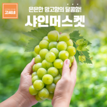 지앤제이 고씨네 프리미엄 샤인머스켓1kg 포도 샤인머스켓효능, one color, free