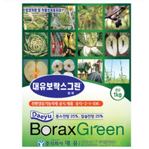 대유 보락스그린(1kg) S0821