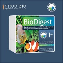 신바람 바이오다이제스트 30앰플 프로디바이오