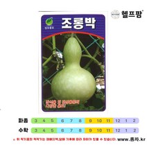헬프팜 단여주 10립 씨앗 종자 KS종묘
