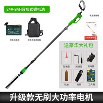 충전식 무선 높은 가지 치기 전기톱 고지톱 장대 경량, 2.0m-2.9m 텔레스코픽로드 패키지