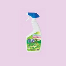 [베스트몰] 락카 수성페인트 다용도 제거제 550ml #2550EA, 쿠팡 1, 쿠팡 본상품선택