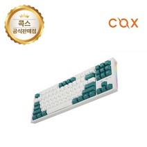 COX 저소음 백축 키보드, CK01 TKL PBT SL