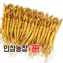 더굿진생 금산인삼 수삼 햇인삼 원수삼 삼계탕재료 가정 업소용 350g, 1개, (세척안함)식당알뜰형350g(40~50뿌리