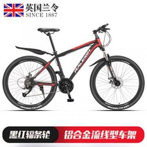 영국 raleigh 유사브롬톤 티타늄자전거 다혼스피드D9 사바파이크 k3 팻바이크 mtb 자이언트, 21 속도A, 26인치