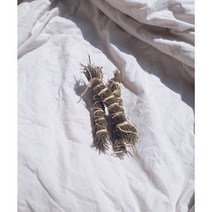 로즈마리 스머지스틱 천연 뱡향제 인센스 디퓨저, 4+1