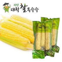 수확 후 바로삶은 괴산 대학 찰옥수수 24개(3개씩포장)