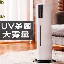 공기 바디미스트 가정용 온열 정음 침실 임부 무소음가습기, T01-흰색, C02-버튼한개 만져보다 변변치 않다