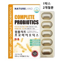 프로바이오틱스 모유유래 L2B1 lgg 락토코커스 락티스 락토바실러스 복합물 람노서스 플란타럼 가세리 애시도필러스 100억 프리바이오틱스 생유산균 식약처 식약청 인증 인정 추천, 1box(ea) 2개월분 정품, 민쓰네가게 1box당 500mg X 60캡슐