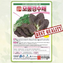 모둠 경수채 씨앗 2000립 샐러드 쌈 채소 종자 씨 봄 여름 가을 모듬 혼합 수채씨 A