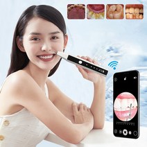 치아 세정기 직수 잇몸 마사지기 구강 수압 칫솔 초음파 치과 스케일러 전기 치과, 1