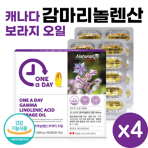 캐나다 보라지 꽃 종자유 감마리놀렌산 90캡슐 식약처 인증 보라지유 여성 월경전 생리전 불편 개선 PMS Borage Gamma Linolenic Acid, 4개(12개월), 원어데이 감마리놀렌산 90캡슐, 4개