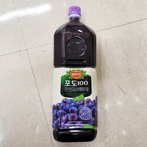 [홈플러스]롯데칠성_델몬트포도100_1.8L x 2개, 단품, 단품