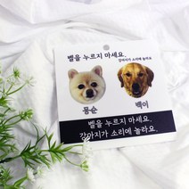 싸인팩토리 맞춤 제작 포토 펫 캣 반려 동물 현관 도어사인 아크릴 셀프 인테리어 디자인 디자인문패, 타공형