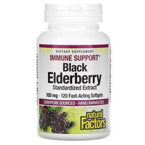 내추럴 팩터스 블랙 엘더베리 100mg 캡슐 120정, 120 개