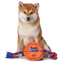 Looney Tunes 루니 툰 스페이스 잼 강아지 장난감, Basketball Rope