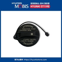 순정 가솔린 연료 주유캡 (31010C1000), 1개