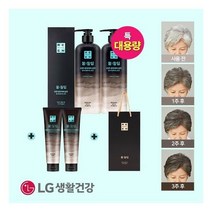 자연갈색물들임 대용량 샴푸 2개+대용량 트리트먼트 2개+쇼핑백