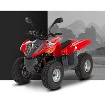 대림 e올코트100 디엔에이모터스 사륜 전기오토바이 E-AT100 사발이 전기 스쿠터 4륜 전동ATV 보조금 번호판, 대구경북