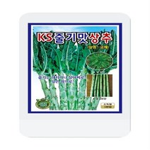 줄기맛상추씨 1000립 줄기상추 씨앗 대장 KS종묘