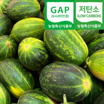 (자연마을) GAP 저탄소 고령 달콤한 파파야 메론 2.5kg, 파파야메론 2.5kg(6-8과), 1개