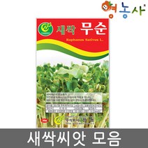 새싹 씨앗 모음 수경재배 식물키우기 홈가드닝, 새싹브로콜리