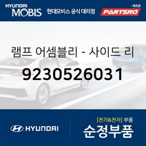 램프-사이드 리피터 (9230526031)-현대모비스 부품 공식대리점 온라인쇼핑몰 파츠로 싼타페