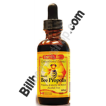 (빌)엉클빌 벌꿀 프로폴리스 무알콜30/60/100ml (UB Brazil Bee Propolis Alcohol Free liquid, 1, 100ml