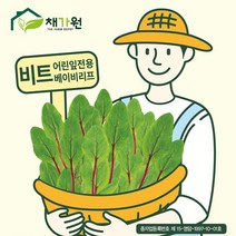 아시아종묘 새싹씨앗종자 비트싹 (500g) 새싹채소 어린잎 베이비채소, 선택완료, 단품없음