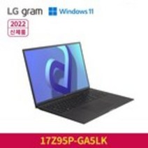 LG전자 2022 그램, 옵시디안 블랙, 17Z95P-GA5LK, 코어i5 11세대, 256GB, 16GB, WIN11 Home