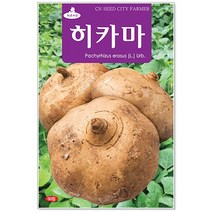 뿌리채소 씨앗 택1 당근/더덕/도라지/콜라비/비트/양파/우엉 등, 70히카마 50립